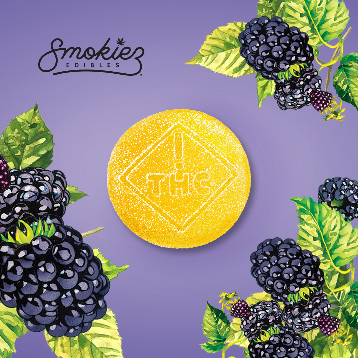 Sour Blackberry Gels (100 mg)